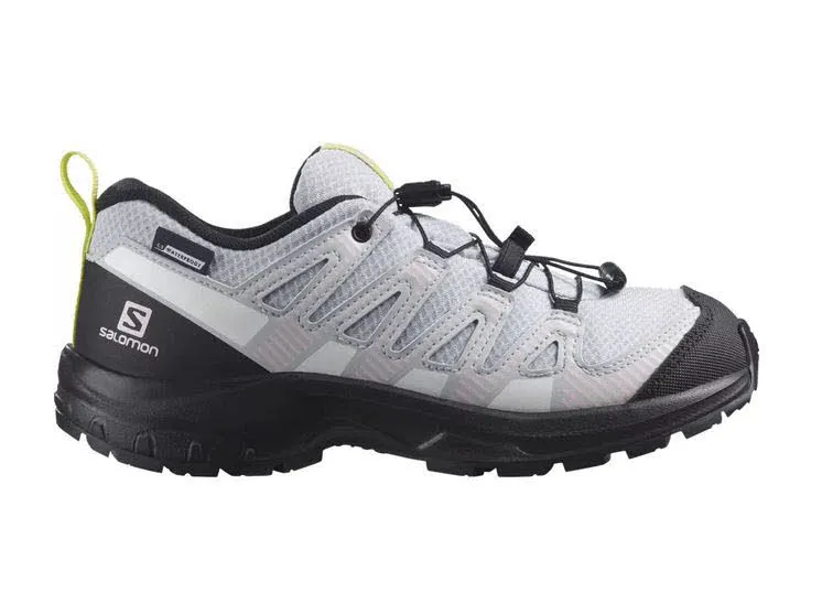 SALOMON Outdoorschuhe SHOES XA PRO V8