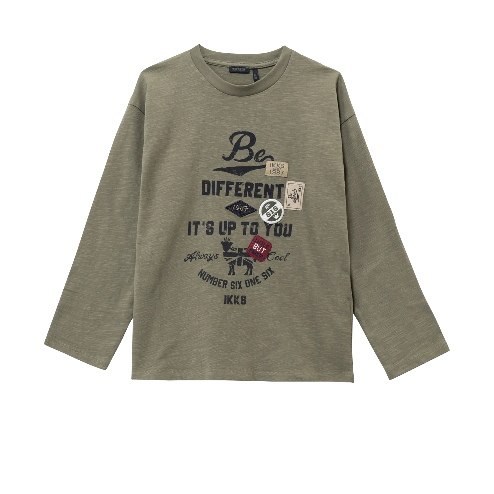 Baumwoll-Pullover mit Rundhalsausschnitt Khaki