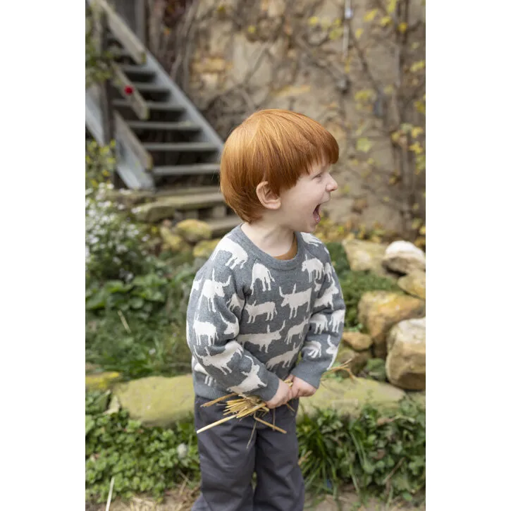 Sense Organics VICTOR Baby Knitted Sweater